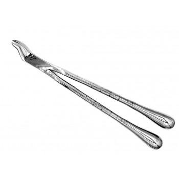 Stainless Steel Equine dental 19 Equine Fragment Forceps,Hand Crafted 